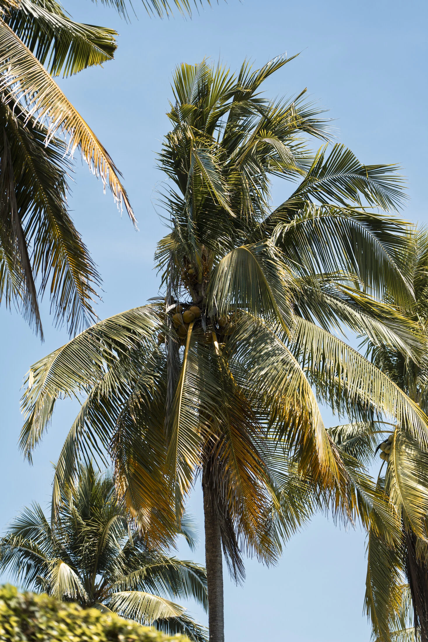 A Tropical Resort Stay in Khao Lak gallery image