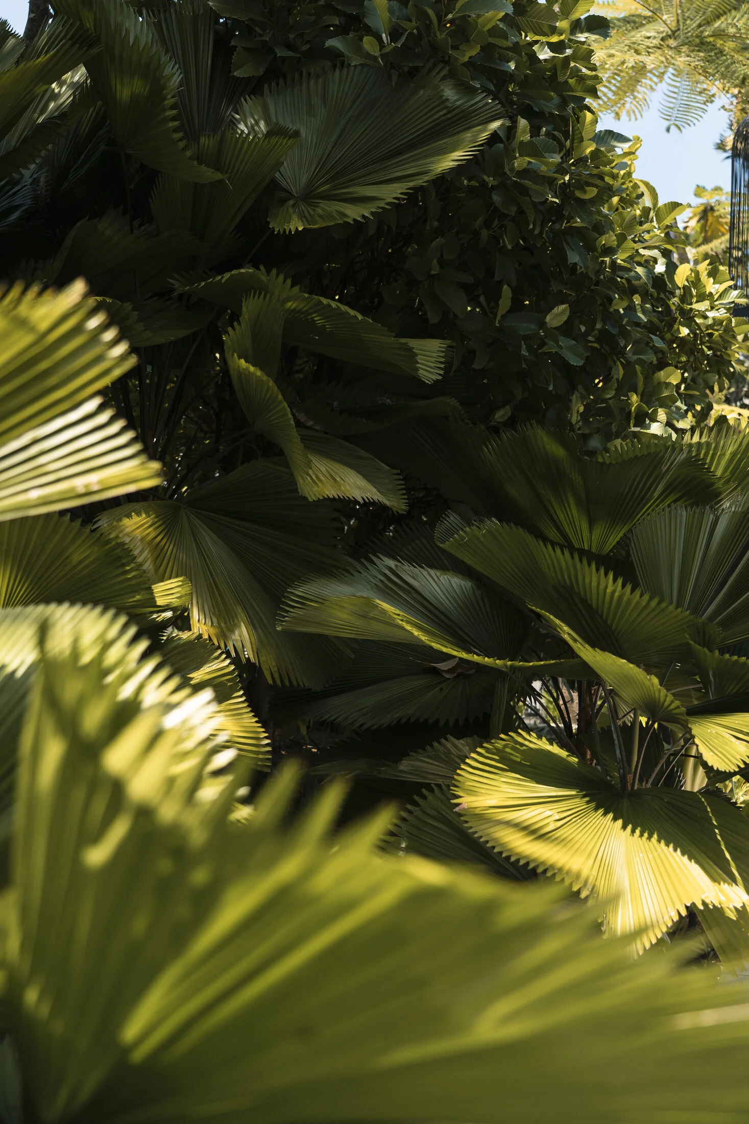 A Tropical Resort Stay in Khao Lak gallery image