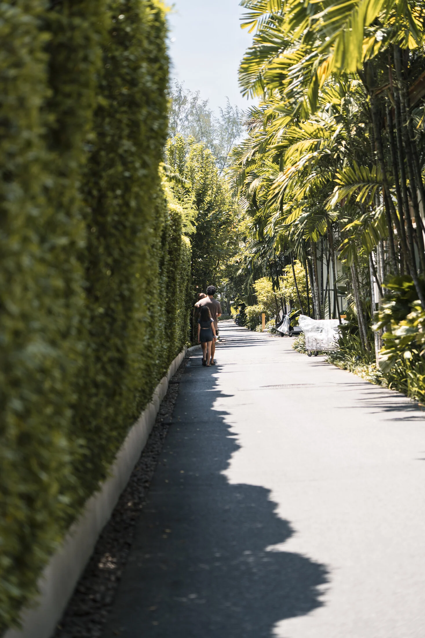 A Tropical Resort Stay in Khao Lak gallery image