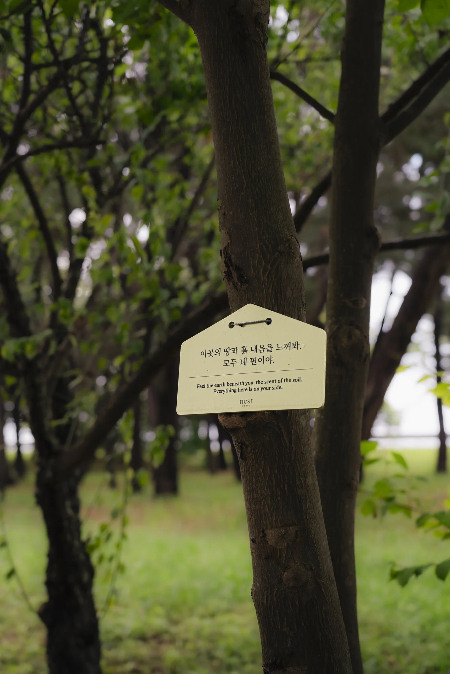 A Coastal Stay in Incheon gallery image