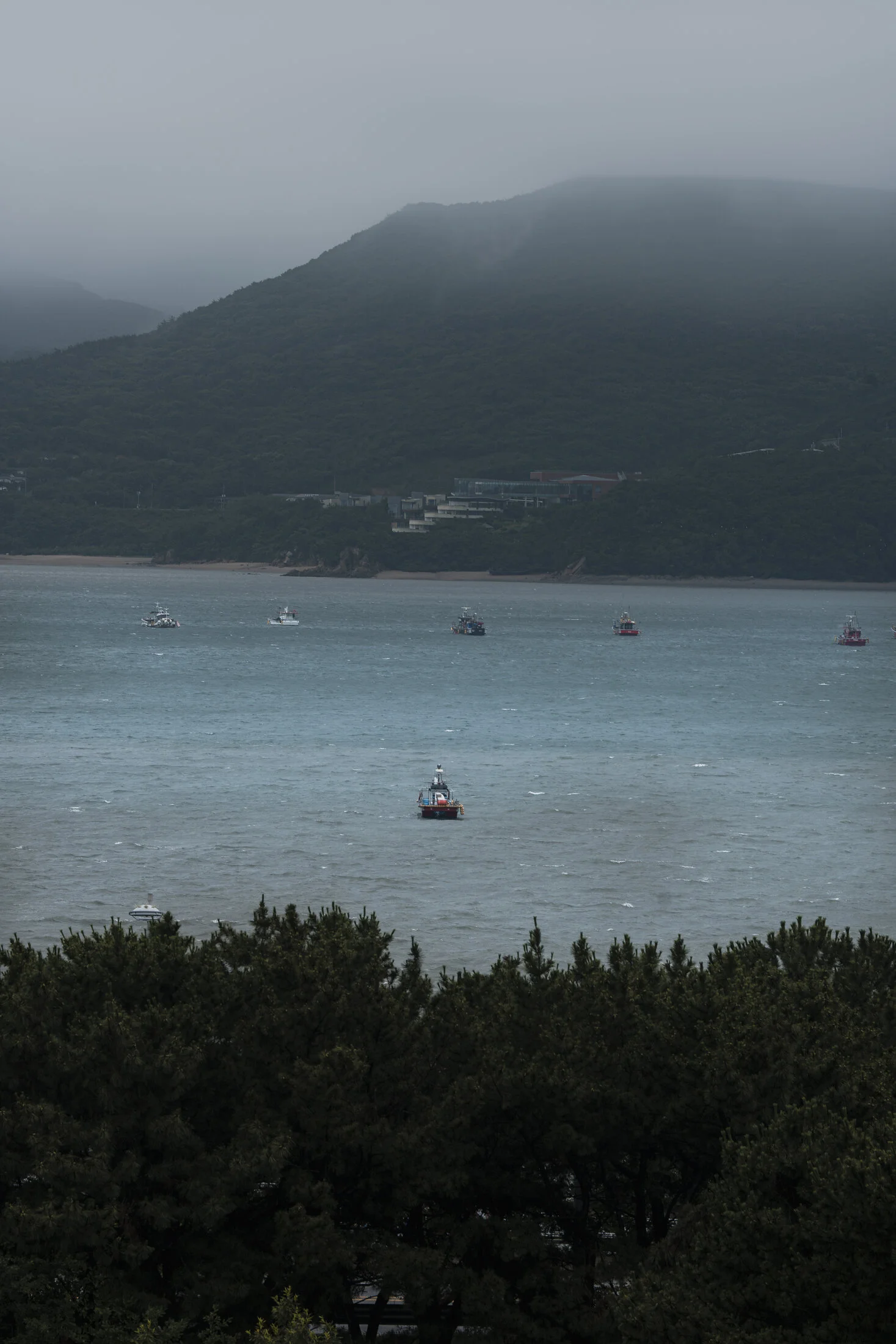 A Coastal Stay in Incheon gallery image