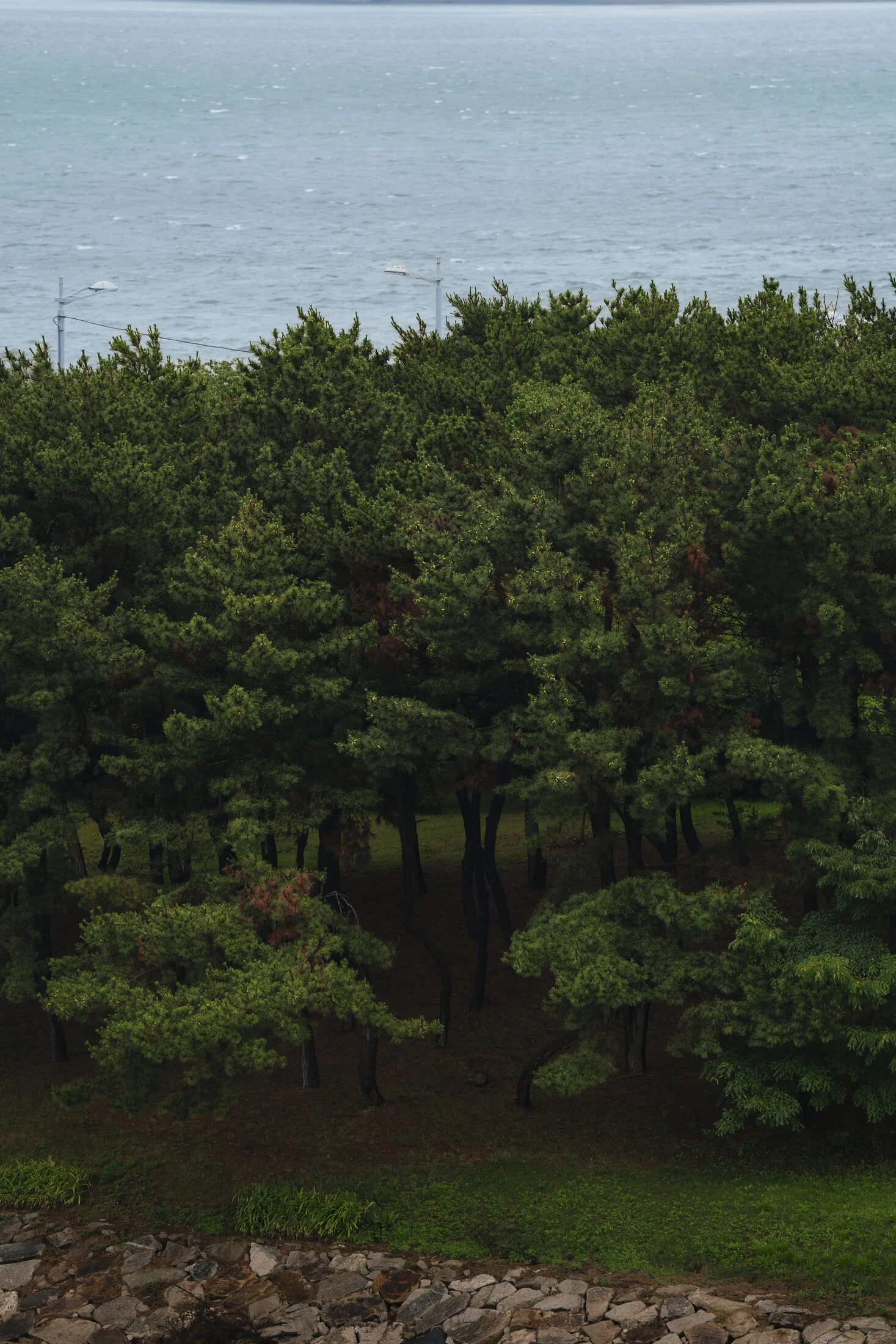 A Coastal Stay in Incheon gallery image