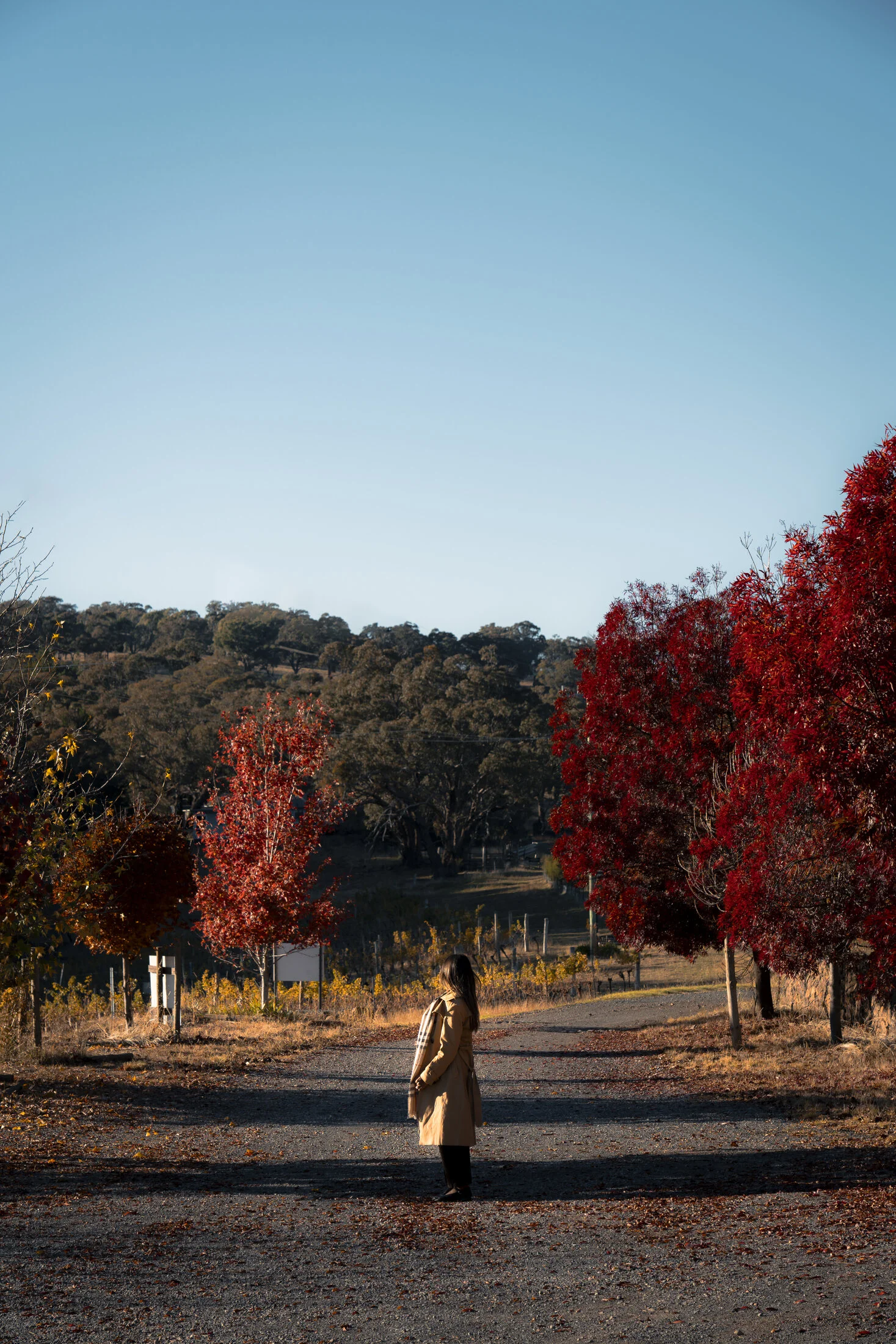 A Wine Country Stay in Orange gallery image