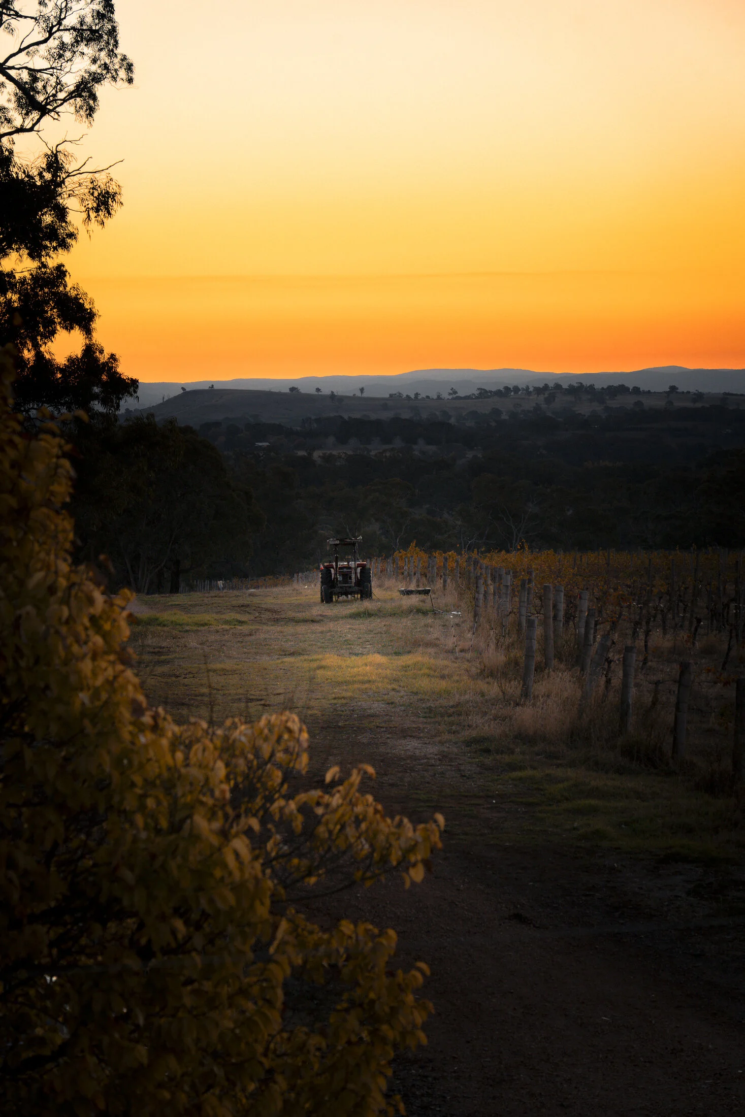 A Wine Country Stay in Orange gallery image
