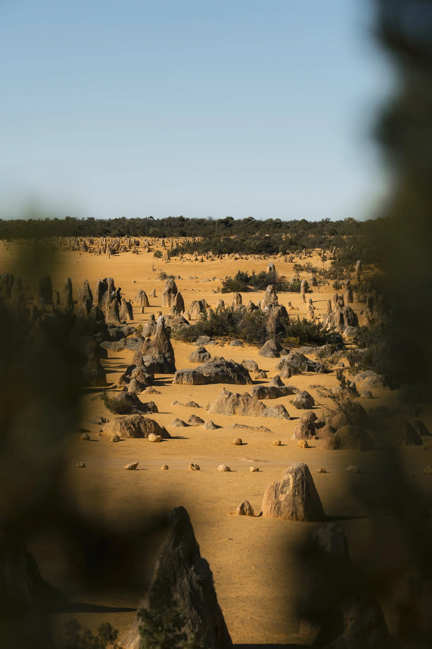 Australia gallery image