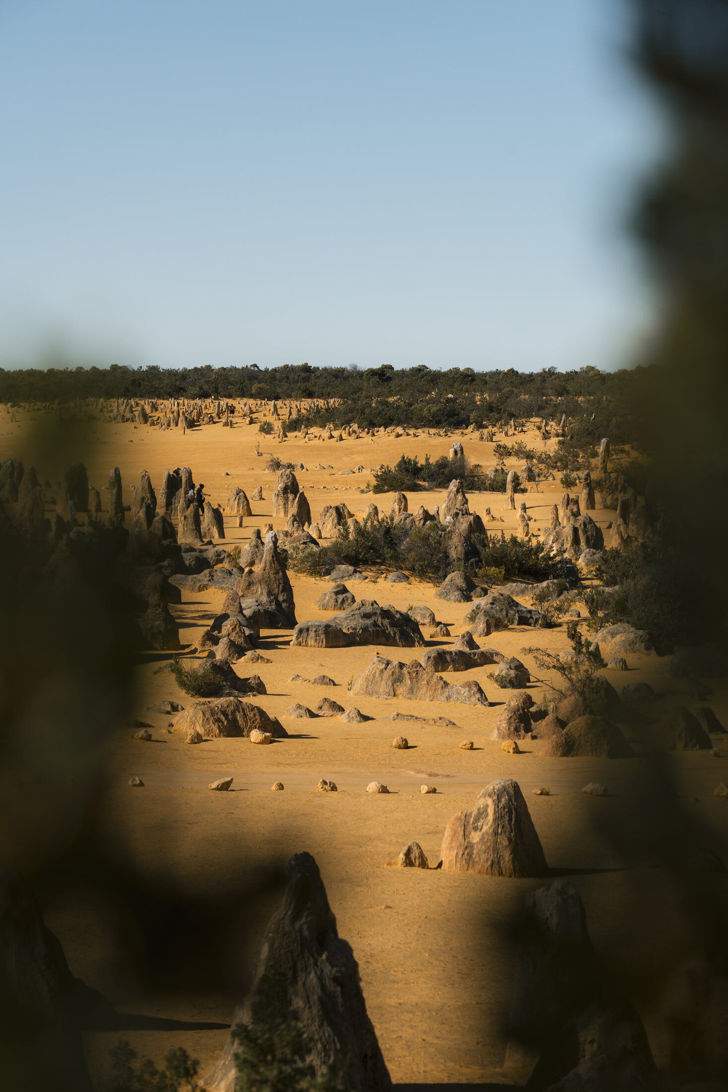 Australia Road Trips and Regional Escapes gallery image