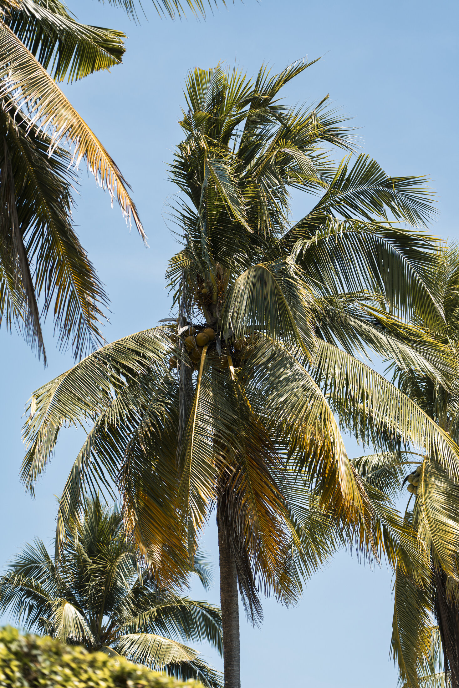A Tropical Resort Stay in Khao Lak gallery image