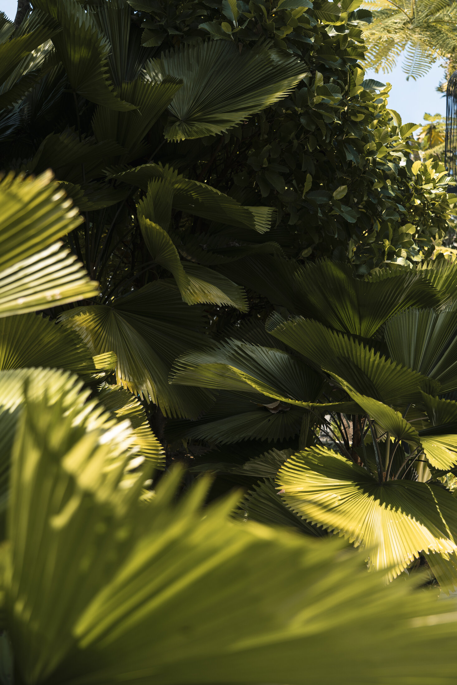 A Tropical Resort Stay in Khao Lak gallery image